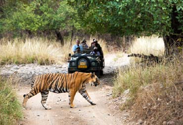 Jaipur Ranthambhore with Udaipur